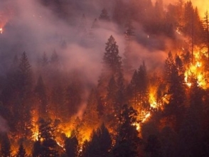 В Канаде около 600 спасателей и авиация тушат лесные пожары